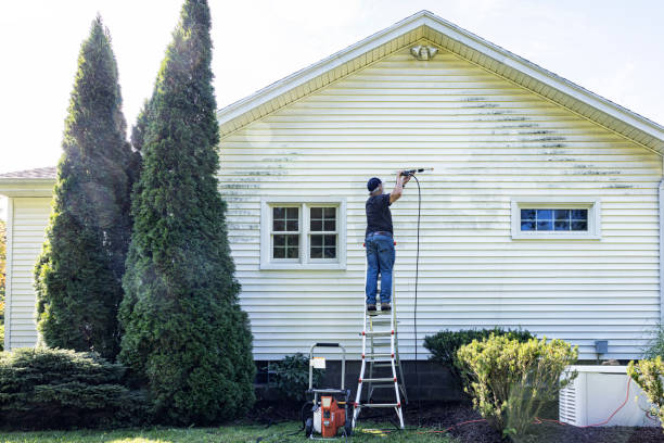 Best Residential Pressure Washing Services  in Denton, NC